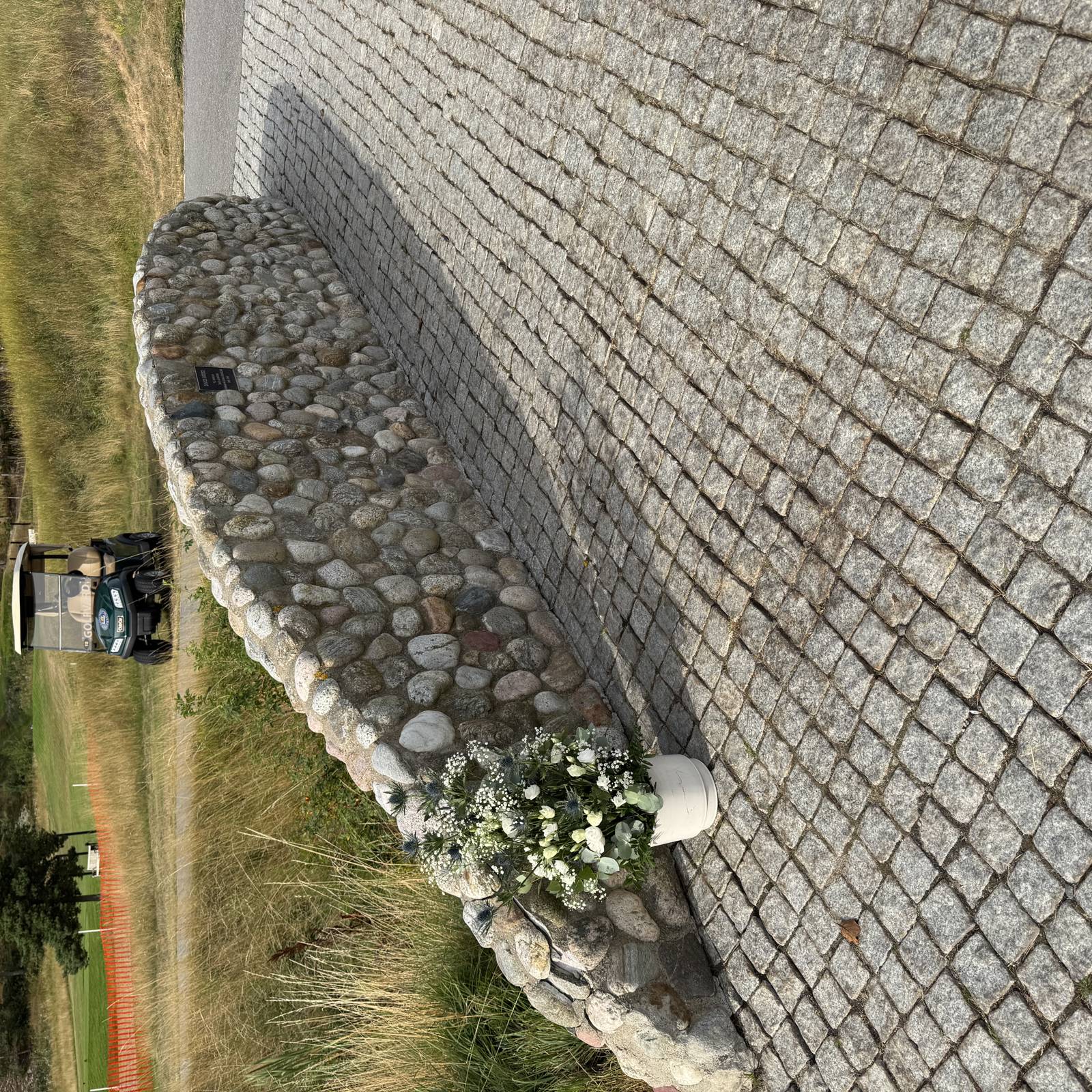 IMG 1546