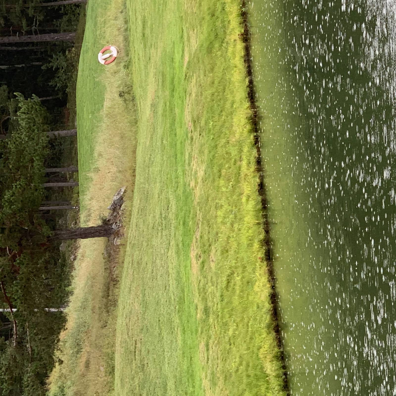 Regnet Bara Öser Ned