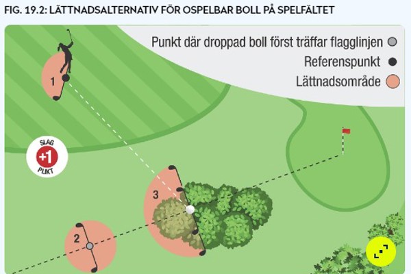 Månadens regelfråga februari 2024