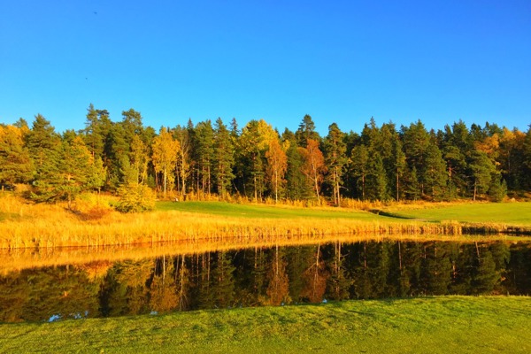 Månadens regelfråga oktober 2023