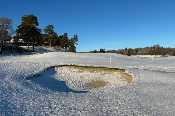Månadens regelfråga januari 2025