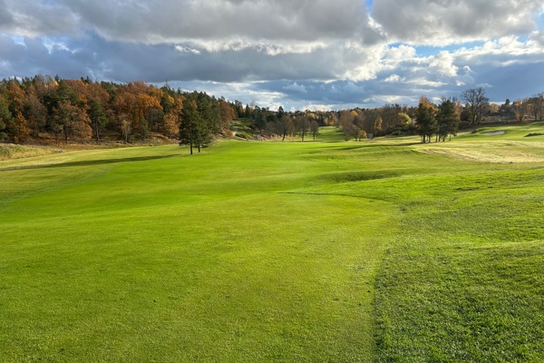 Månadens regelfråga november 2025