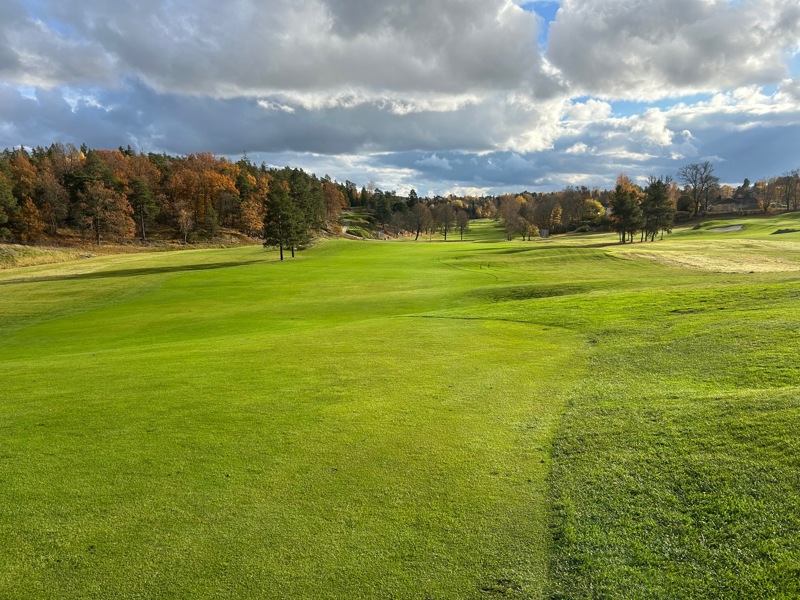 Månadens regelfråga november 2025