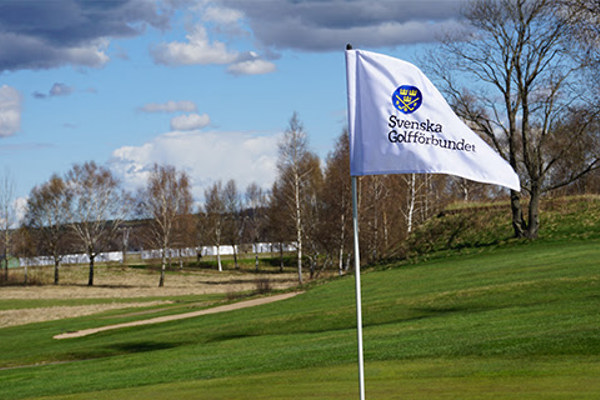 Äldre handicapronder raderas i januari