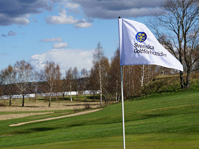 Äldre handicapronder raderas i januari