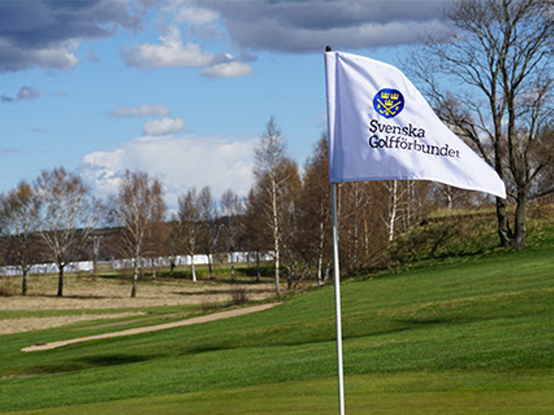 Äldre handicapronder raderas i januari